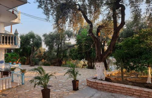 Angelos Studios - Photo 6