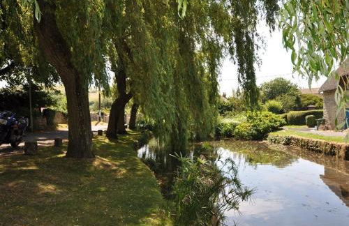 Blueberry Cottage - Foto 21