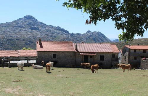 Casa do Azevim - Foto 61