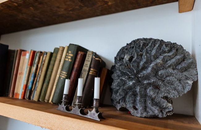 Comfy 1-bed Apartment in London - Foto 18