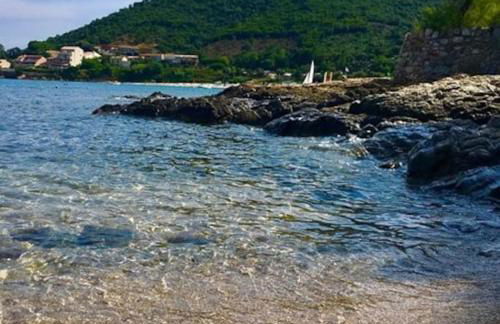 Pieds dans l'eau - La Villa Crique aux tortues - Foto 37