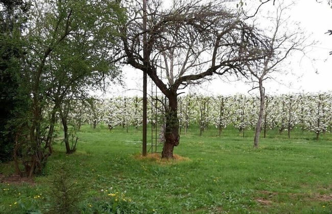 Agriturismo Dosso al Porto - Foto 39