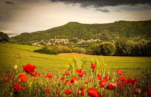 Vacanze Sant Andrea - Foto 9