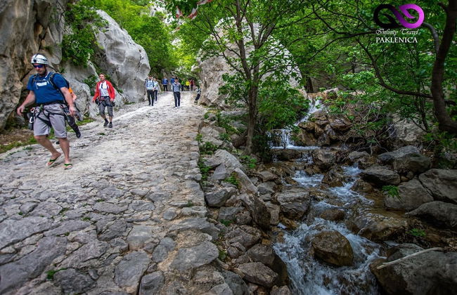 Apartments Branka - Foto 24