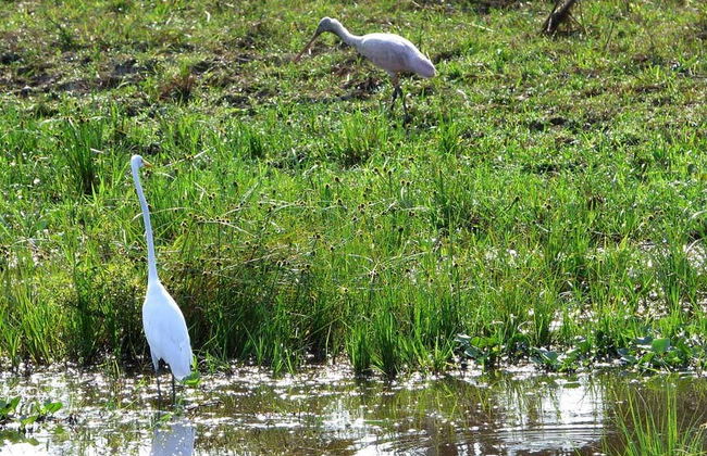 Moxos Jesuit Missions & Coitarama Lagoon - Foto 5