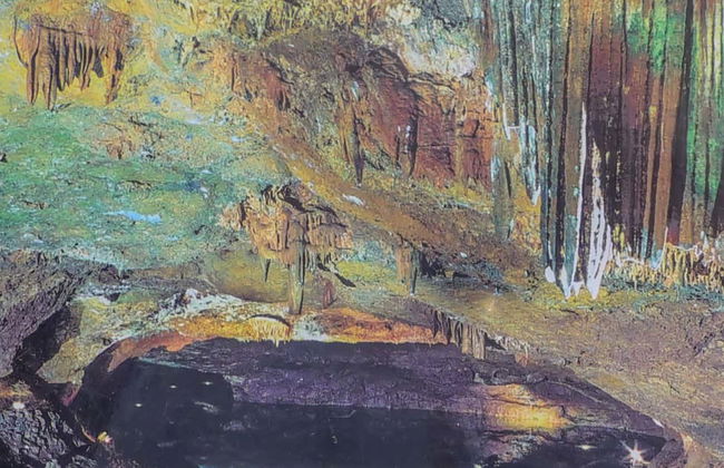 Excursion aux grottes de San José - Photo 1