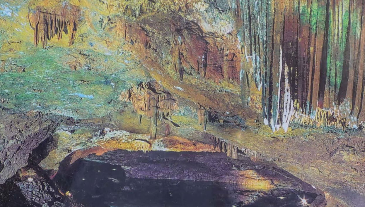 Excursion aux grottes de San José