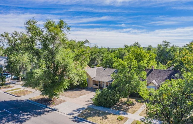 Downtown Practical & Pet-friendly Easy & Sensible - Photo 31