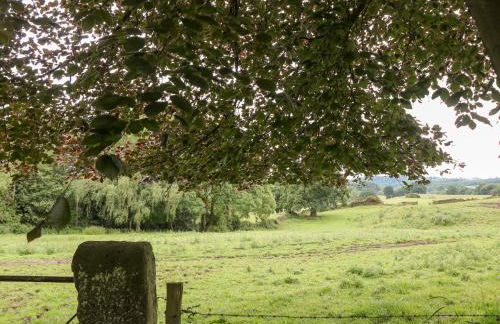 Horse Shoe Cottage - Foto 18