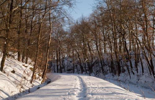 Ferienhaus in Vogtland - Foto 40