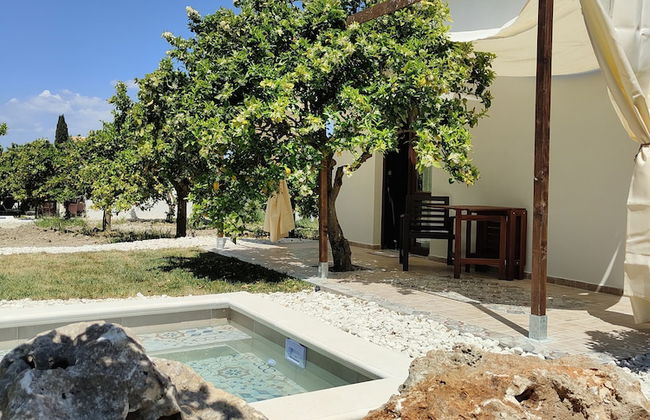 AgriBarocco - Photo 31