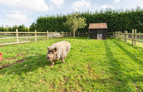 Willow Cottage in idyllic location - Foto 13