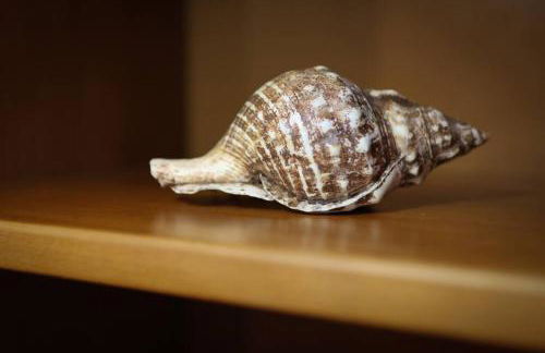 Azores Surf Center House - Photo 23