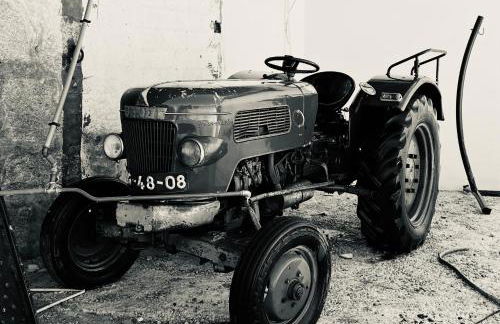 Lourença Stays - Quinta Lourenca - Foto 12