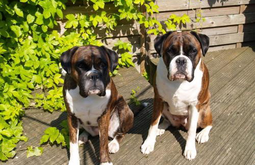 Jakels Rest - Foto 14