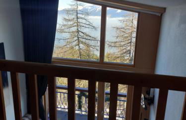 RESIDENCE LE RUITOR Duplex dernier étage vue panoramique classé 4 Cristaux Paradiski - Foto 69