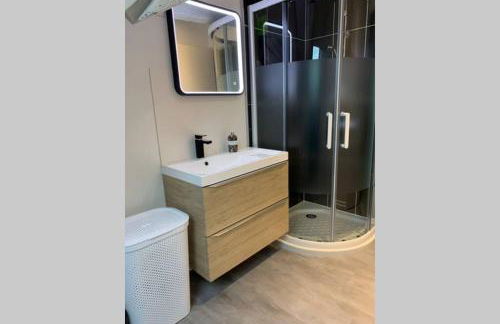 Sans-soucis en plein coeur d'Hautvillers - Foto 9