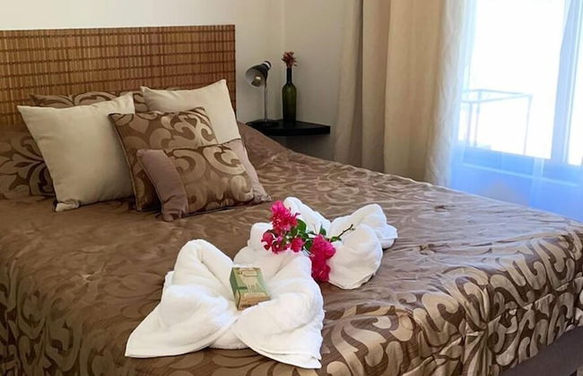 Morning Glory - Foto 12