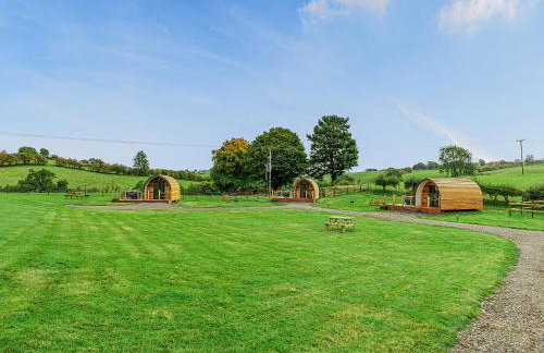 Oak-Uk36258 - Foto 14