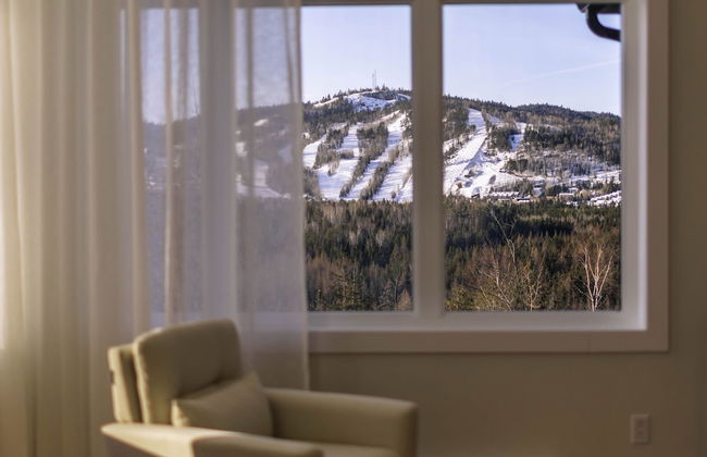 Le Sherpa -spa Billard et acc s au lac - Foto 9