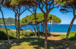 Casa al mare con giardino "Garden House", 2 km spiaggia golfo di Baratti & parco archeologico - Foto 37