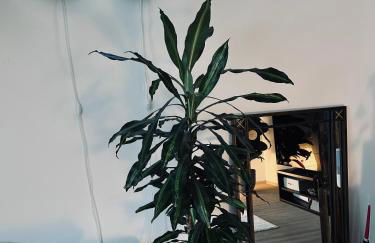 Sunlit Maisonette by the Alster - Photo 41