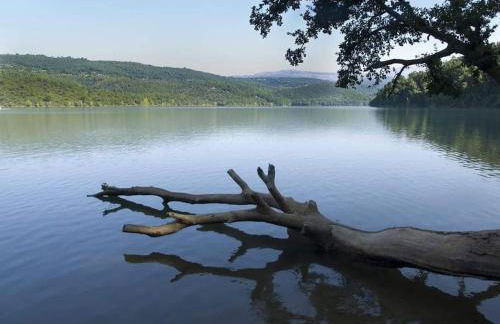 La Rose des Claux - Foto 79