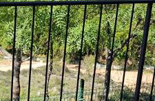 Casa Rural Reyes - Photo 14