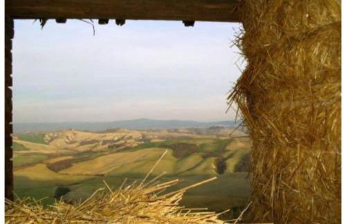 Agriturismo Le Crete - Appartamenti - Foto 21