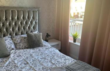 Black Daisy - Foto 38