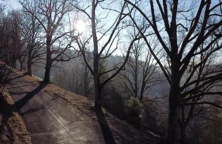 Landliebe Ferienwohnung - Photo 50