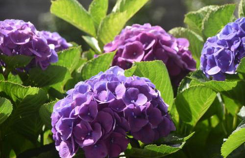 Casa do Vale - Photo 24