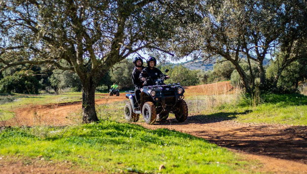 Vous pourrez choisir un quad simple ou un quad double