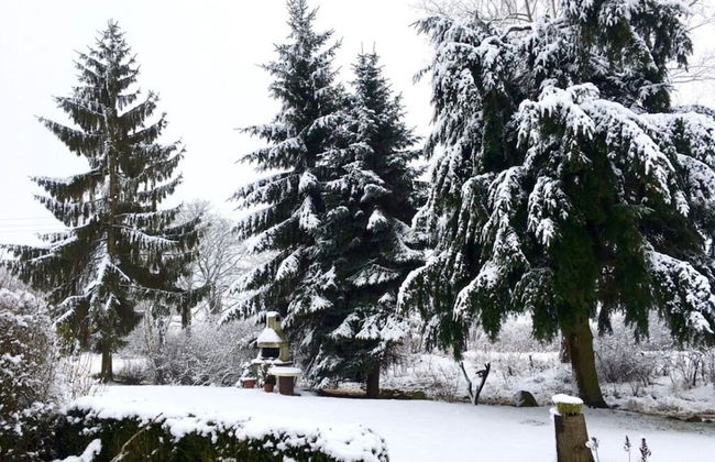 The Fischerhaus on Lake Malkwitzer See - Foto 24