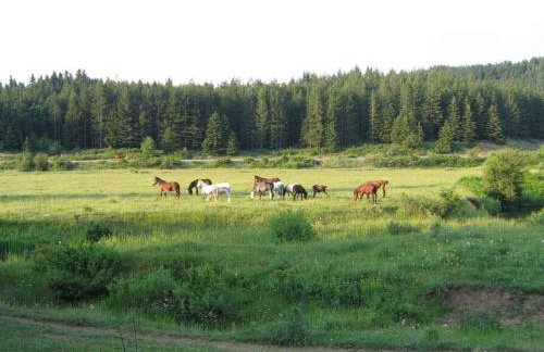 Παραδοσιακή πέτρινη κατοικία στην Βλάχα Ελάτης - Foto 58