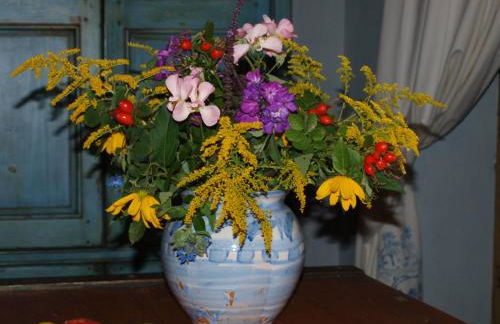 Natur erleben und Ruhe genießen - Foto 7