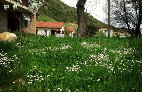 Taverna Centomani - Photo 42