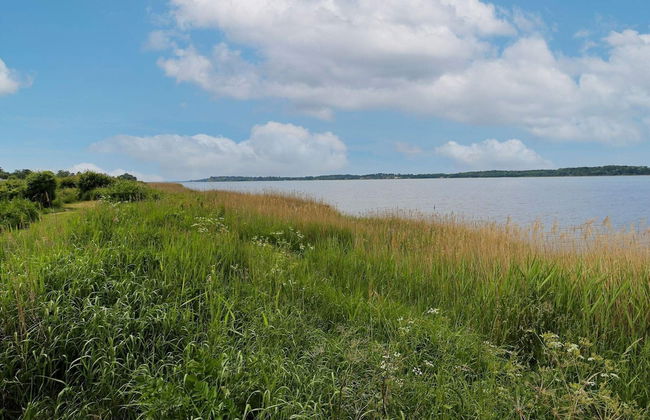 6 Person Holiday Home in Jaegerspris - Photo 15