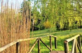 Agroturystyka Szafarnia 19 - Foto 16