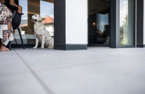 Sambucus Apartments -Premium Apartments for You and Your Dog - Photo 50