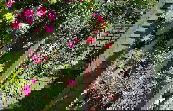 Rosehip Cottage - Foto 12