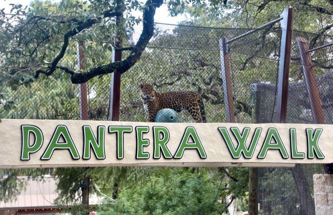 San Antonio CityPASS ® - Foto 8