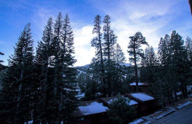 Mammoth Ski & Racquet Club - Foto 68