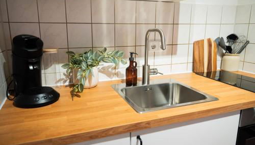 Cozy studio 15 minutes from Bad Saarow thermal bath - Photo 4