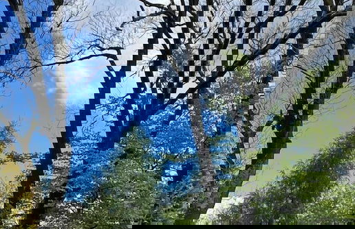 Mały Domek Beskidy - Foto 17