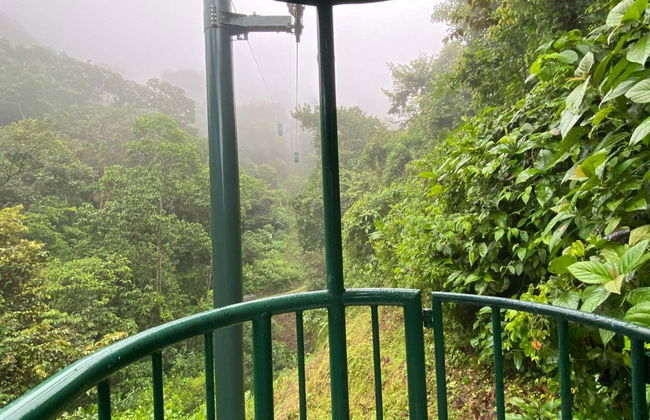 Billet pour le parc d'attraction Rainforest Atlantic - Photo 8