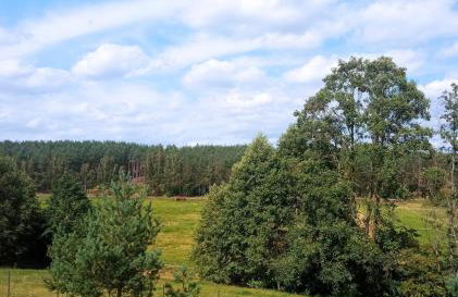 Domek nad strużką - Foto 13