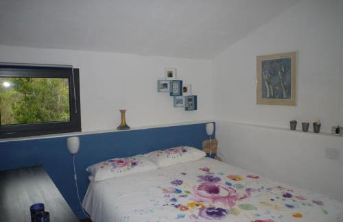 Fraseneggi - Foto 10