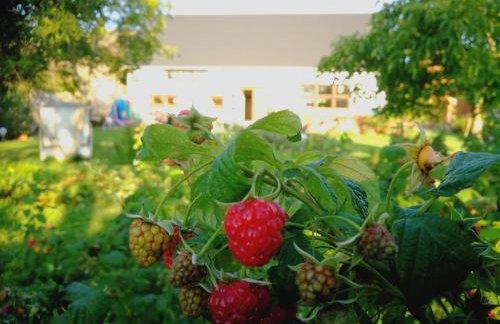 Agroturystyka "Dobre czasy" - Foto 71