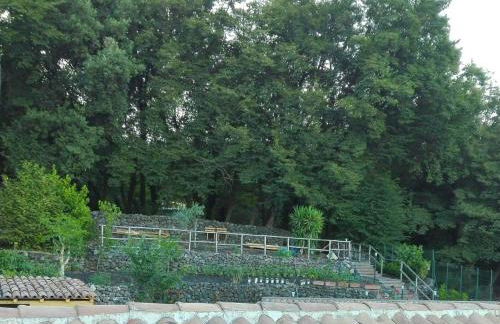 Aetna Silva - Photo 1